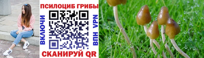 Псилоцибиновые грибы GOLDEN TEACHER Иннополис